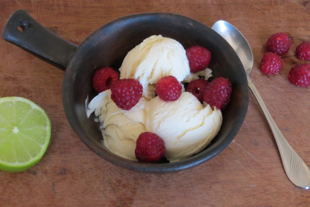 homemade ice cream recipe - the frugal chef