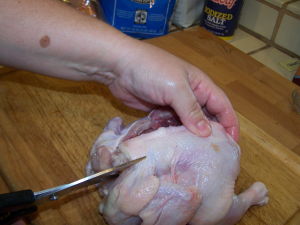 BUtterflying a Cornish Hen