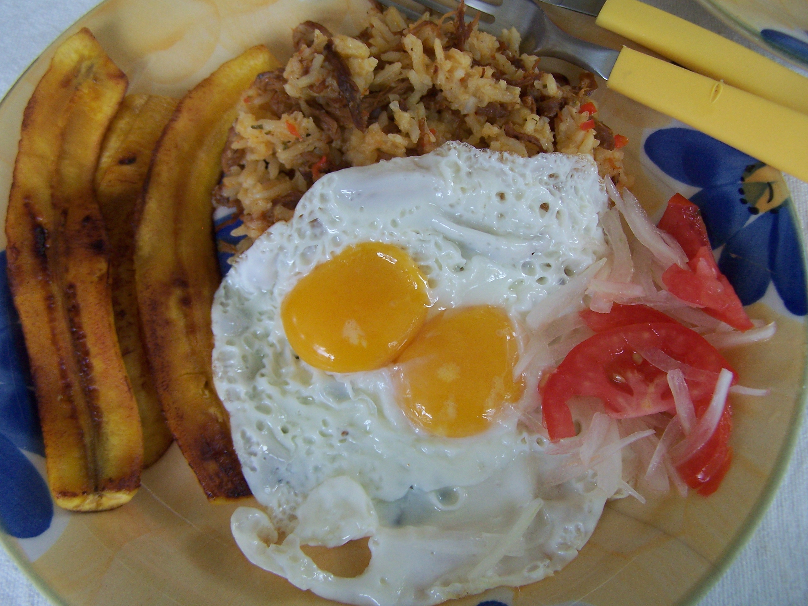 Shredded Beef Rice with Eggs and Plantains
