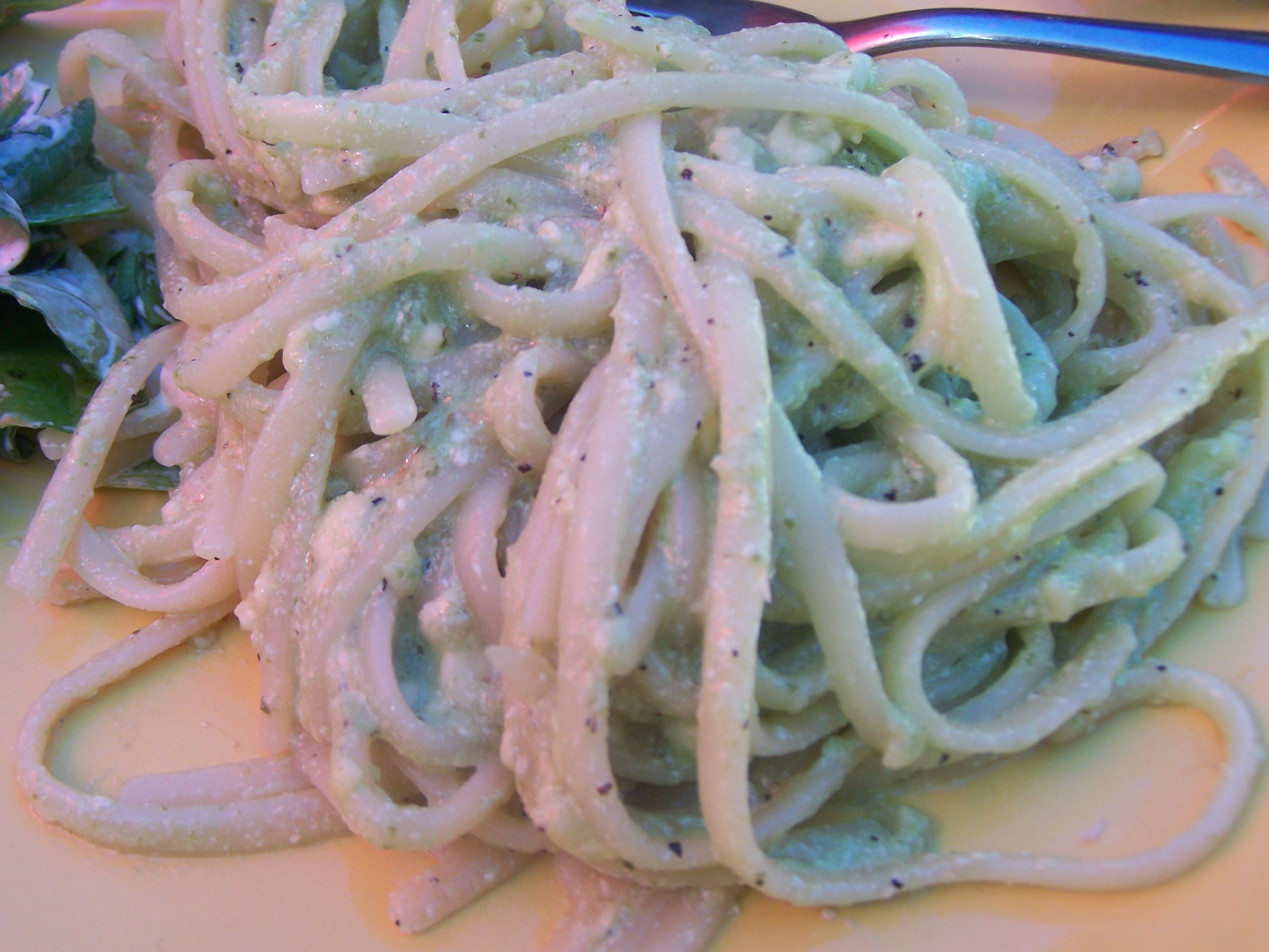 Pasta Alfredo with Green Herbs