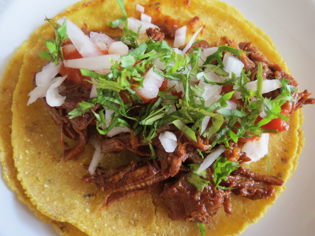 Beef Birria Taco Recipe - The Frugal Chef