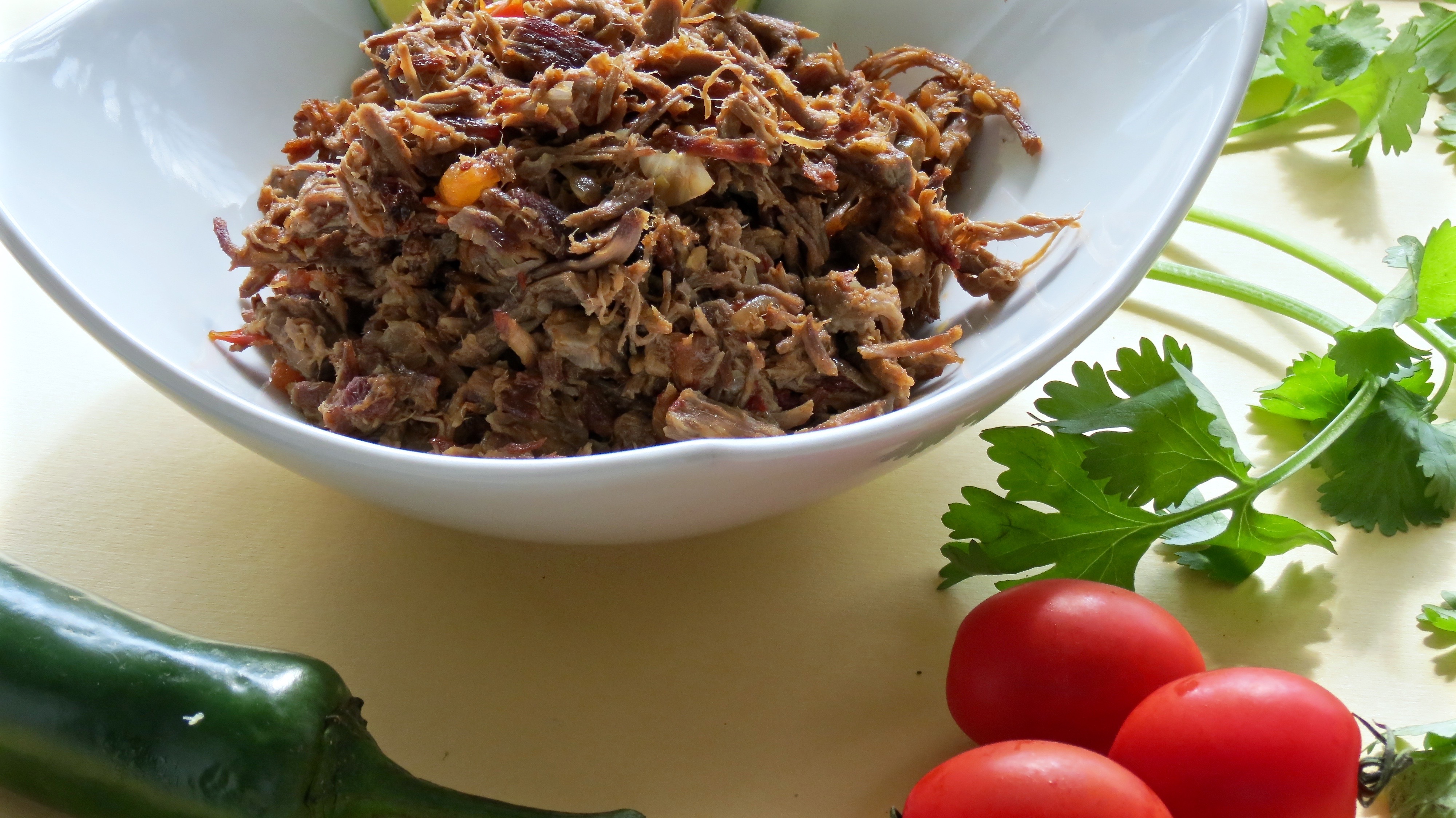 Mexican Shredded Beef