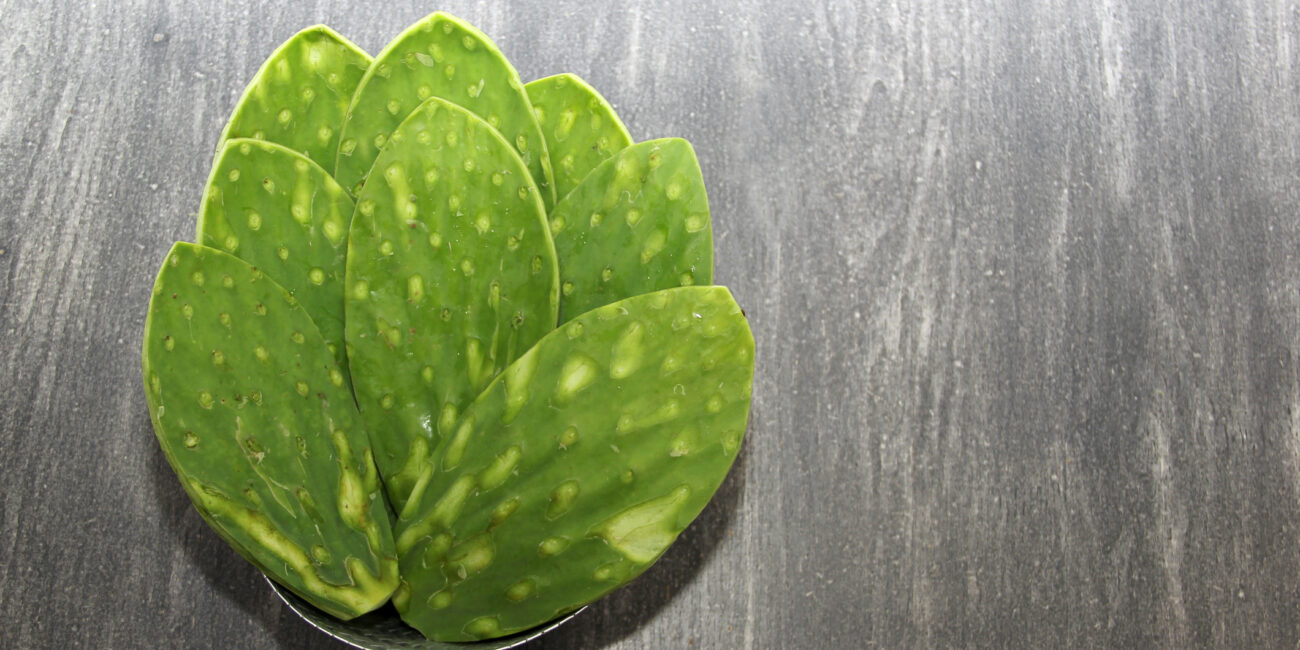 Nopal - Prickly Pear Cactus