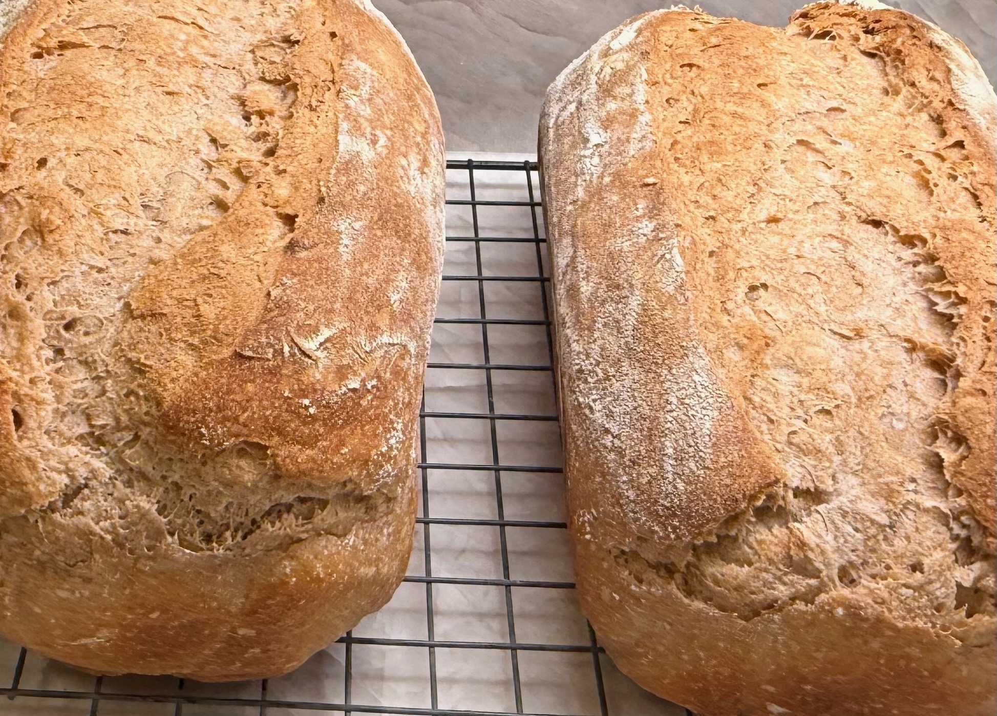 Classic Sour Dough Bread