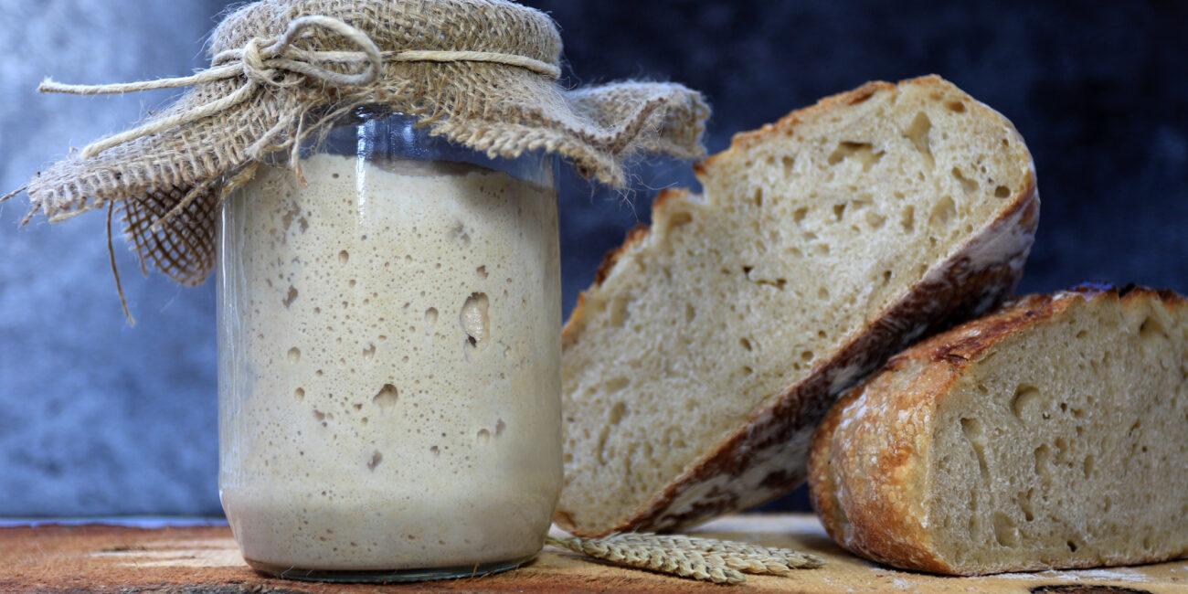 Sourdough Starter