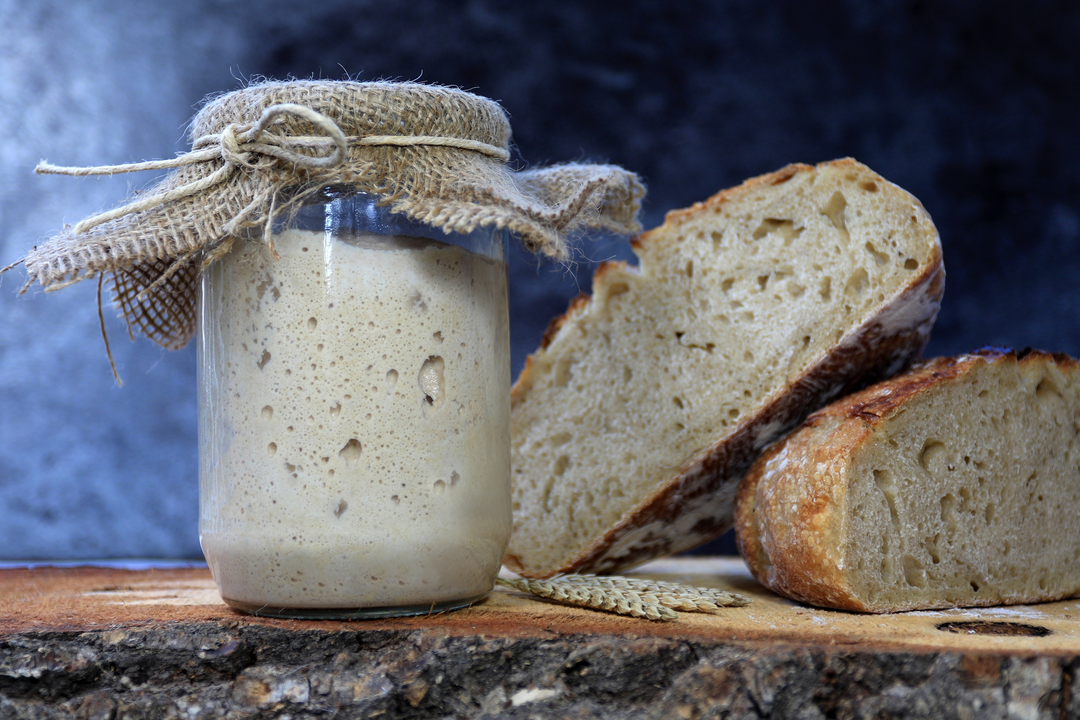 Sourdough Starter